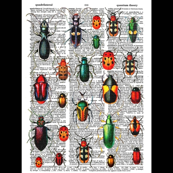Insect Colorful Science Beetle Vintage Dictionary Art Pri… - Picture 3 of 5